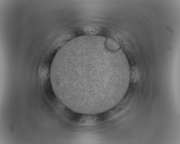 X0000113990713200910161647