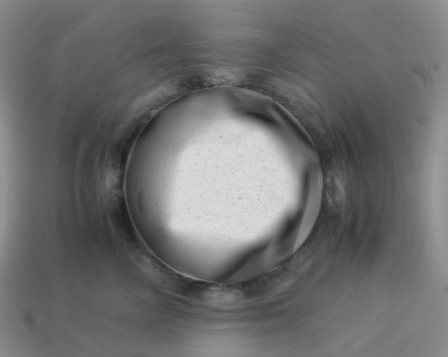 X0000113990714200910161647