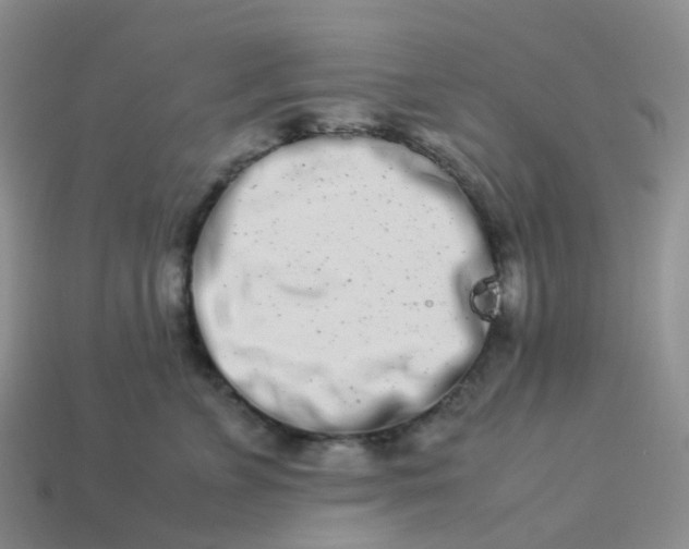 X0000113990715200910161647