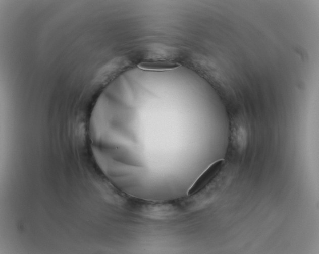 X0000113990716200910161647