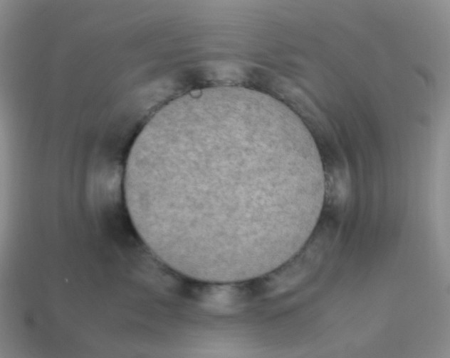 X0000113990717200910161647