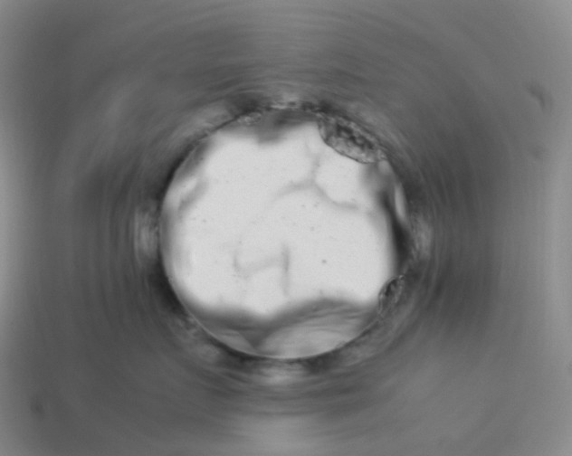 X0000113990719200910161647