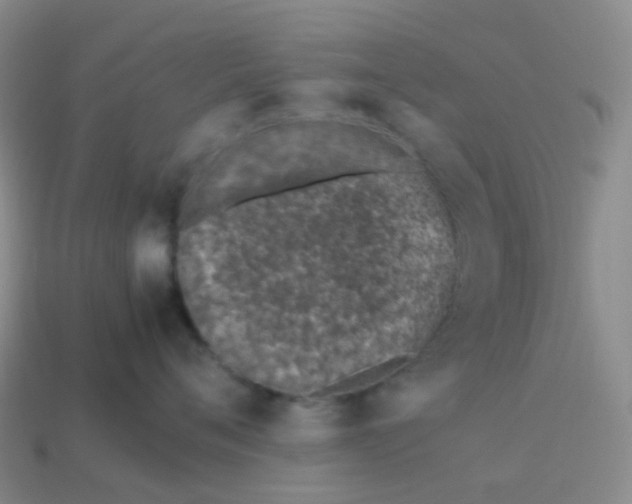 X0000113990720200910161647