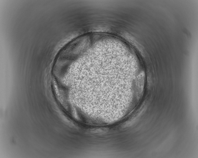 X0000113990721200910161646