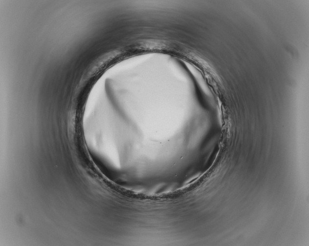 X0000113990722200910161646