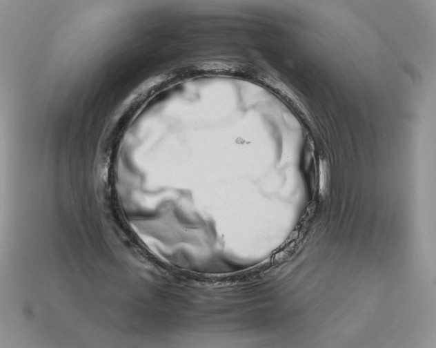 X0000113990723200910161646