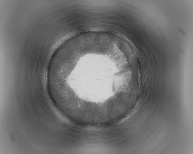 X0000113990725200910161646