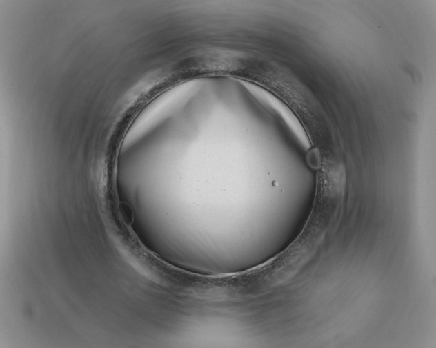 X0000113990726200910161646