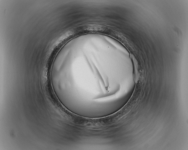 X0000113990727200910161646