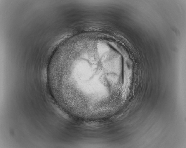 X0000113990729200910161646