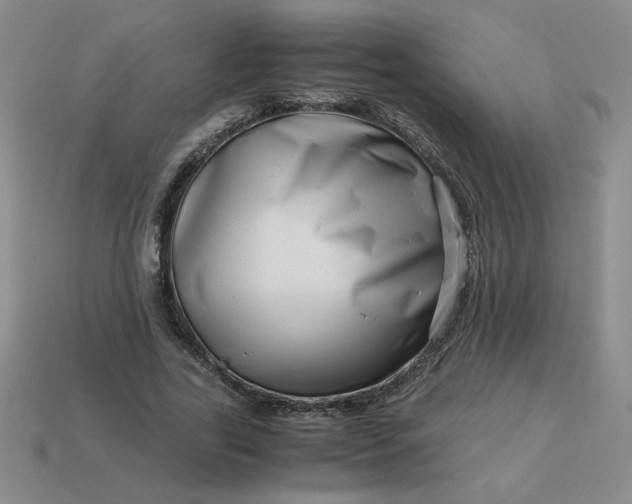 X0000113990731200910161646