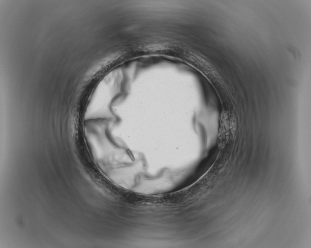 X0000113990732200910161646