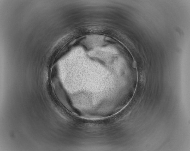 X0000113990733200910161646