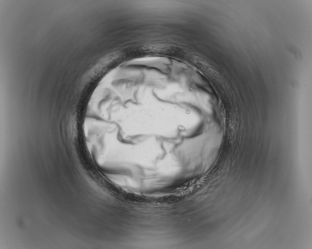 X0000113990734200910161646