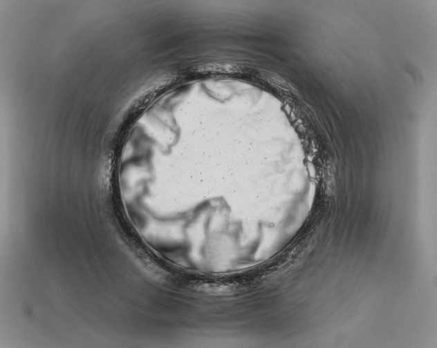 X0000113990735200910161646