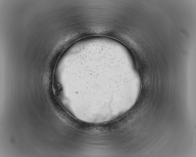 X0000113990736200910161646