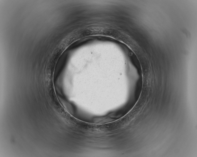 X0000113990737200910161646