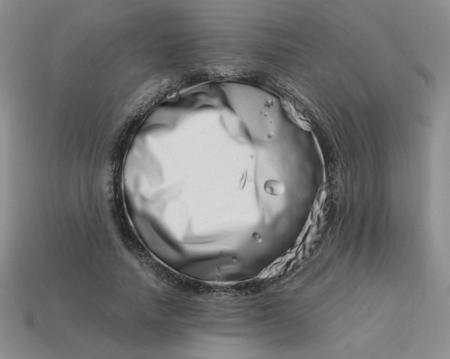 X0000113990738200910161646