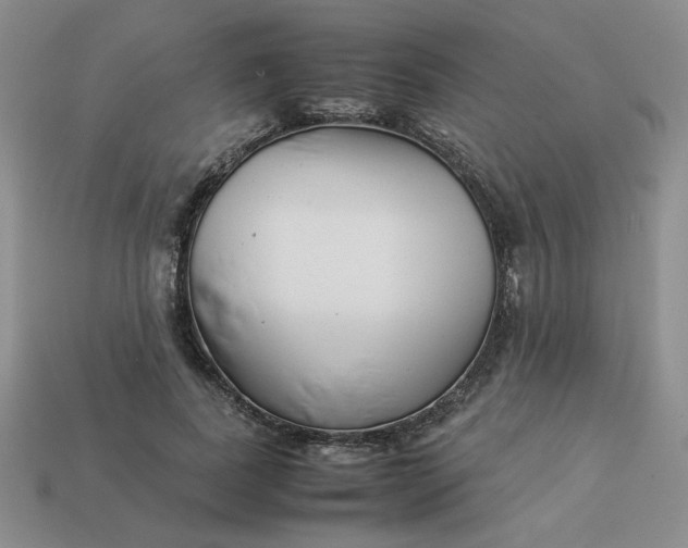 X0000113990739200910161646