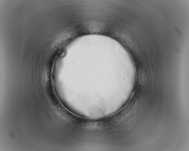 X0000113990740200910161646