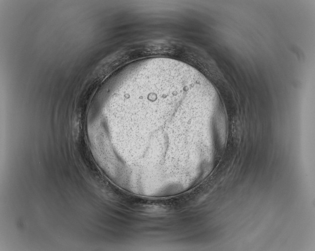 X0000113990741200910161646