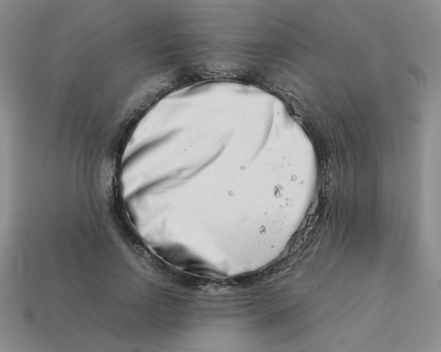 X0000113990742200910161646