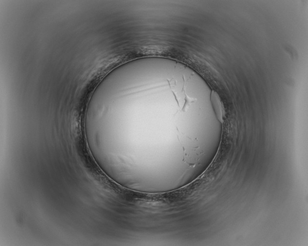 X0000113990743200910161646