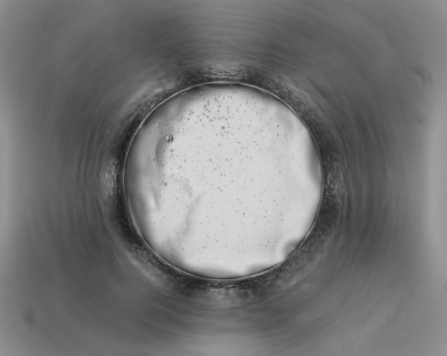 X0000113990744200910161646