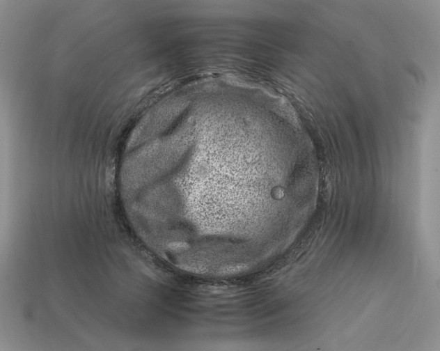 X0000113990745200910161646