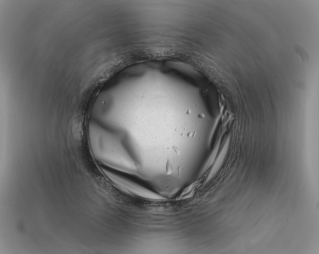 X0000113990746200910161646