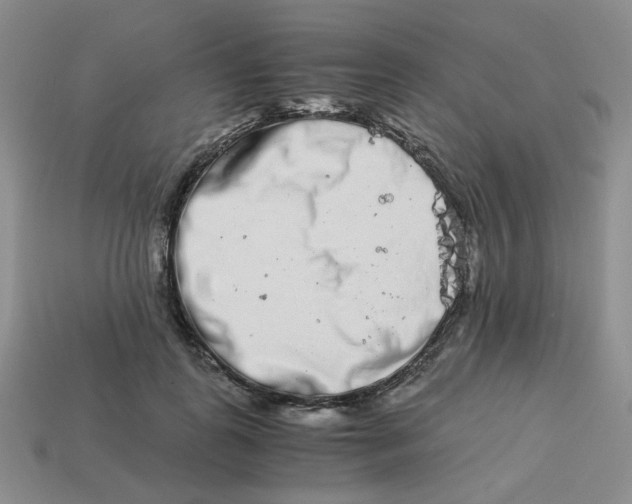 X0000113990747200910161646