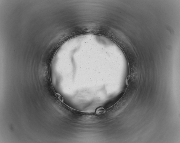 X0000113990748200910161646