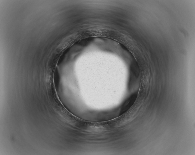 X0000113990749200910161646