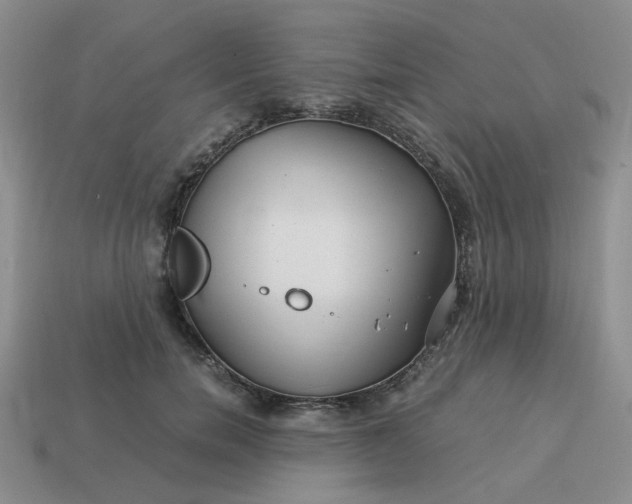 X0000113990750200910161646