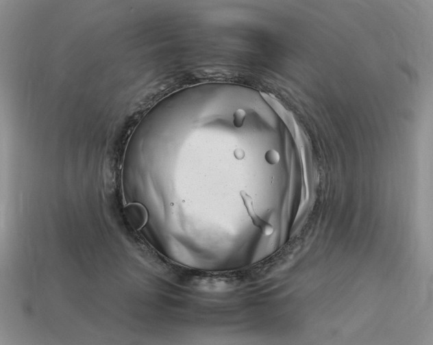 X0000113990751200910161646