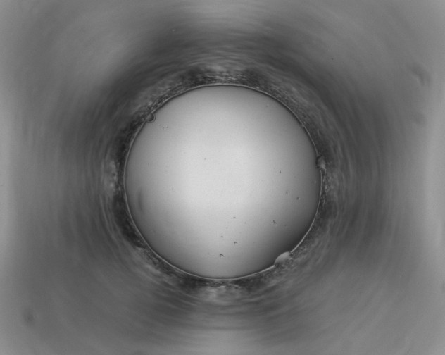 X0000113990752200910161646