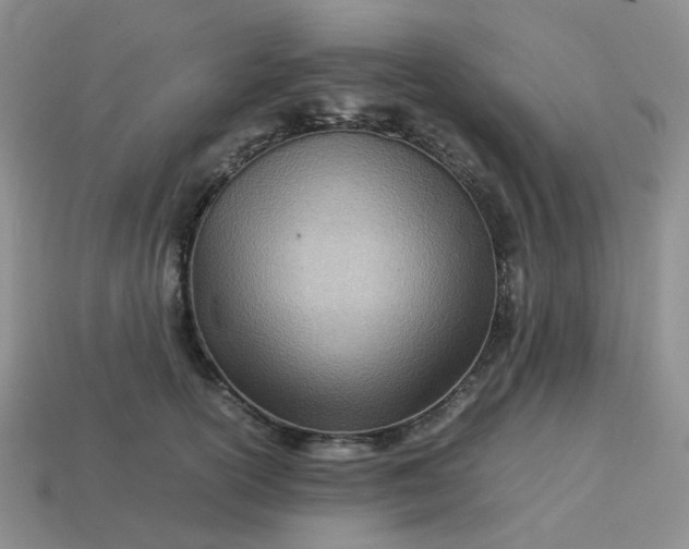 X0000113990754200910161646