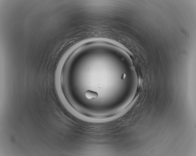 X0000113990756200910161646