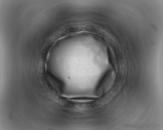 X0000113990757200910161646