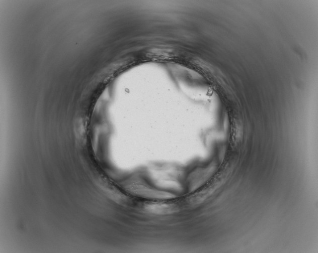 X0000113990759200910161646