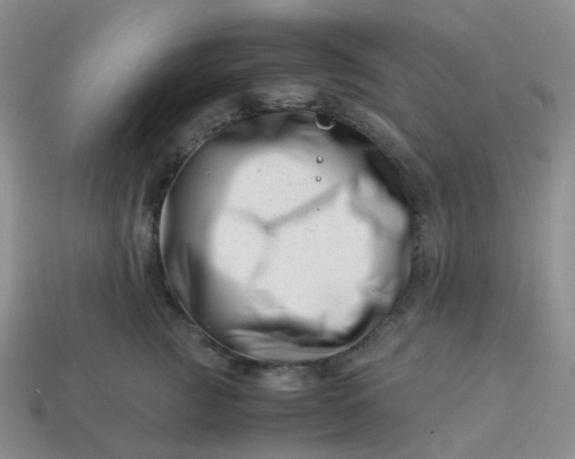 X0000113990761200910161646