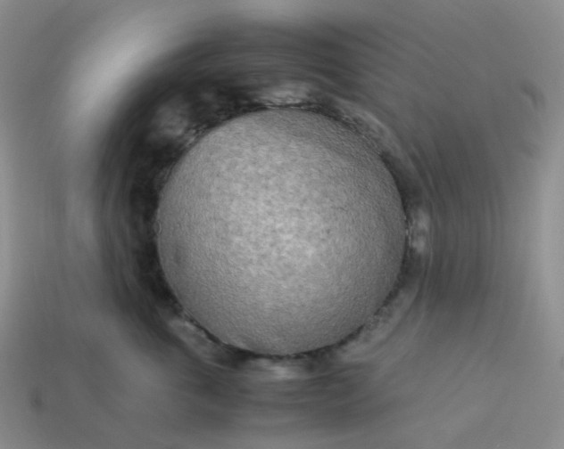 X0000113990763200910161646