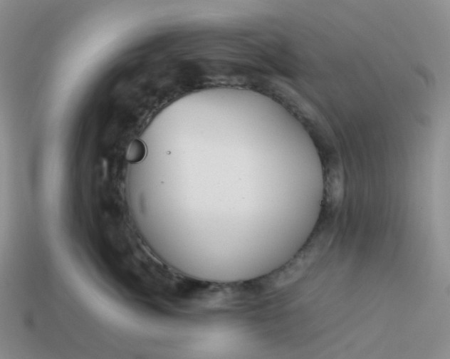 X0000113990764200910161647