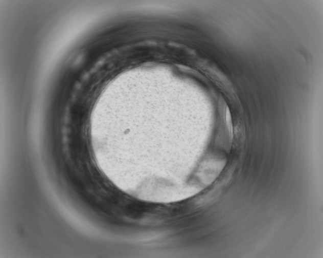 X0000113990765200910161647