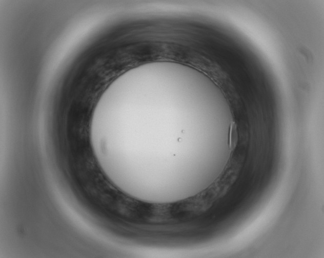 X0000113990766200910161647