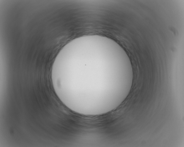 X0000113990768200910161647