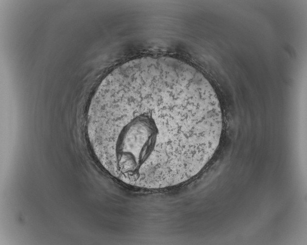 X0000113990769200910161646