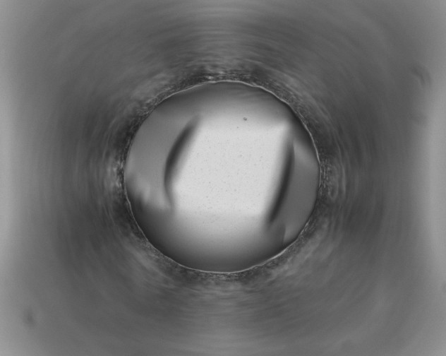 X0000113990770200910161646