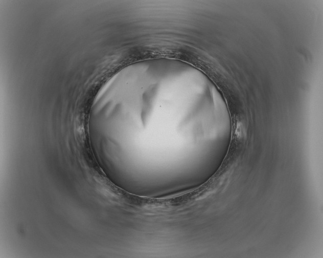 X0000113990771200910161646