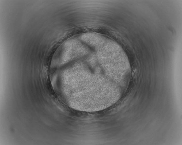 X0000113990772200910161646